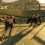 Umbrella Corps