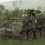 ARMA: Armed Assault