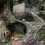 Samorost