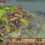 Rise and Fall: Civilizations at War