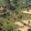 Life is Feudal: Forest Village
