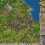 Anno 1503