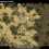 Tank Battle: North Africa