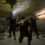 CTU: Counter Terrorism Unit