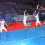 Handball 16