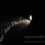 Fade Into Darkness