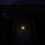 aMaze Achievements: forest