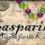 Gasparilla: Quest for the Key