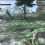 Lost Odyssey