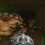 Final Doom