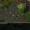 Baldur's Gate: Tales of the Sword Coast