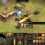 Age of Empires III: The Asian Dynasties
