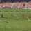 Rugby Challenge 3