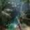 Green Hell