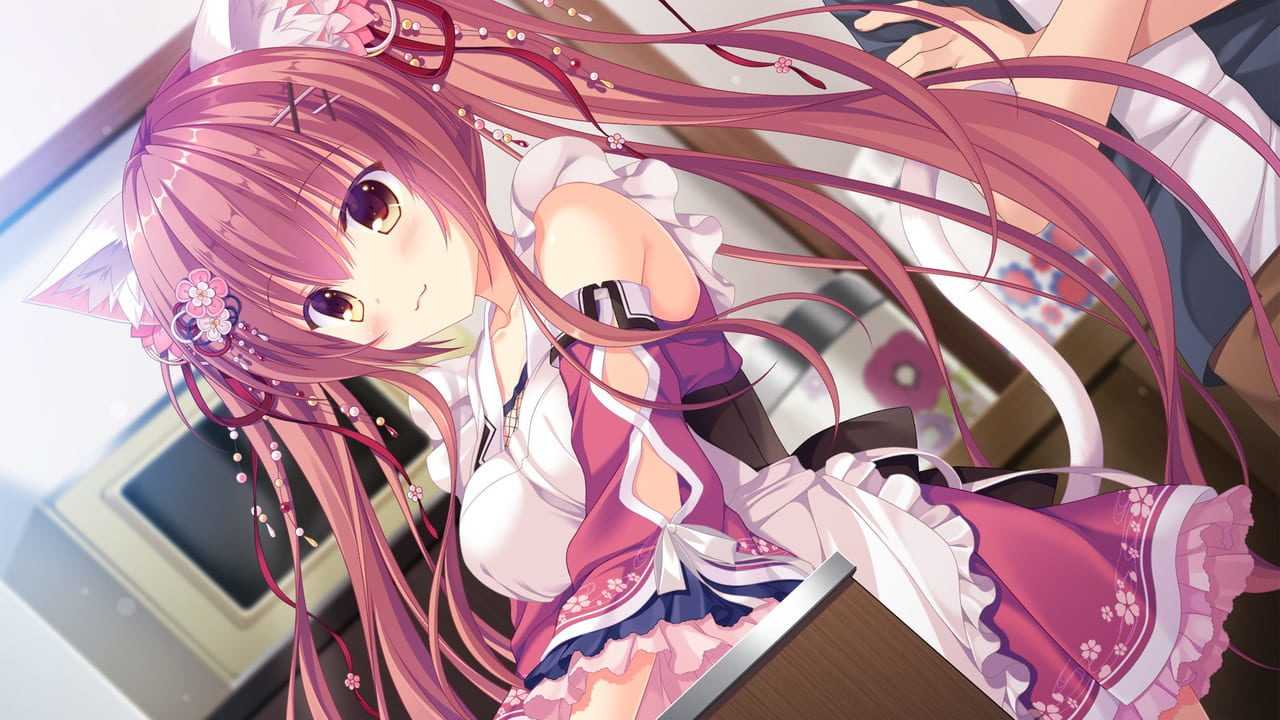 Neko-Nin Exheart Walkthrough