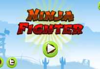 Ninja Fighter