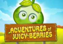 Juicy Berries