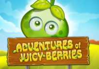 Juicy Berries
