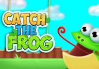 Catch The Frog