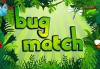 Bug Match