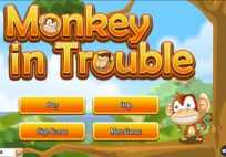 Monkey in Trouble