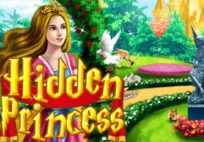 Hidden Princess
