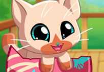 My Pocket Pets: Kitty Cat