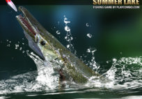 Summer lake 1.5