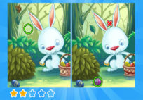 Find Differences Bunny