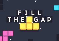 Fill The Gap