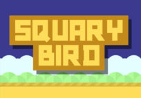 Squary Bird