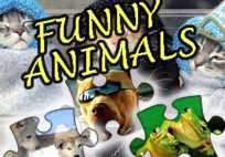 Jigsaw Puzzle Funny Animals