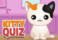 Kitty Quiz