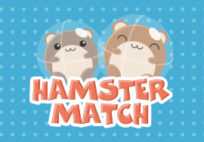 Hamster Match