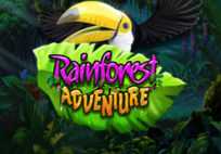 Rainforest Adventure