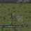 Battle Royale Tycoon