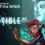 Invisible Inc
