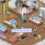 Adult Toy Store