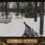Deer Hunt Challenge