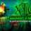 Xotic DLC: Warp Field Expansion Pack