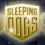Sleeping Dogs: Top Dog Gold Pack