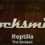 Rocksmith - The Strokes - Reptilia