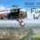 Rise of Flight: Furious Wings
