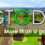 GTGD S1: More Than a Gamer