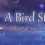 A Bird Story - Original Soundtrack