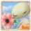 Anemone