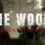 The Woods: VR Escape the Room