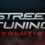 Street Tuning Evolution