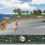 Golf Pro 2000 Downunder