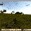 Factions